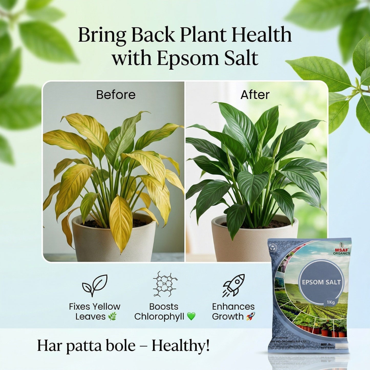 MSAF Epsom Salt