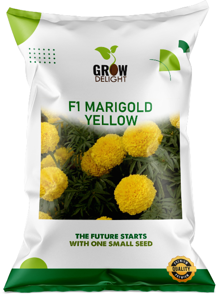 Grow Delight Marigold F1 Yellow - 500 seeds