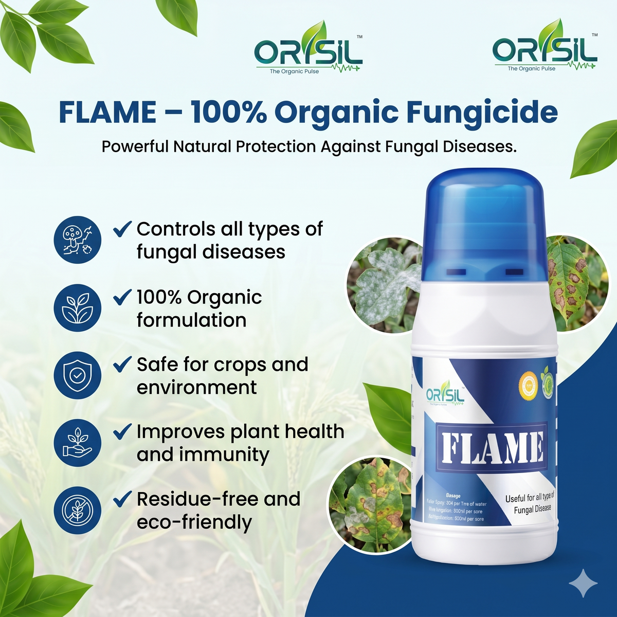 Annadata ORISIL Flame for all types of Fungal Disease