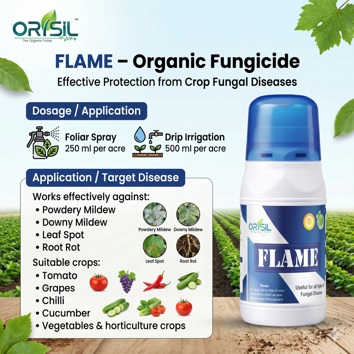 Annadata ORISIL Flame for all types of Fungal Disease