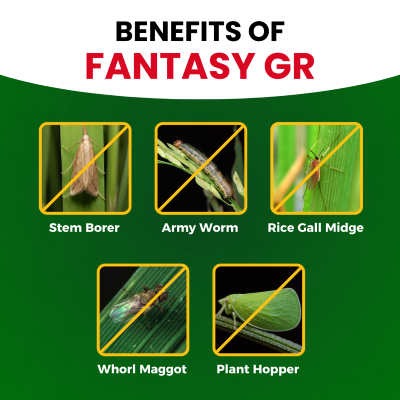 Katyayani Fantasy GR -  Fipronil 0.3% GR