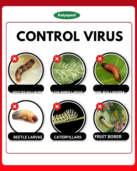 Katyayani Finish IT - All in One Larvicide | Organic Insecticde
