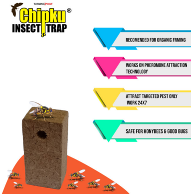 Chipku Melon Fly Lure