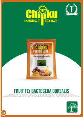 Chipku Pheromone Mac Phill Trap with Fruit Fly Lure (Combo Pack of 5)