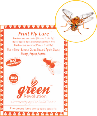 Combo Pack of Max Plus Pheromone Trap + Fruit Fly Pheromone Lure