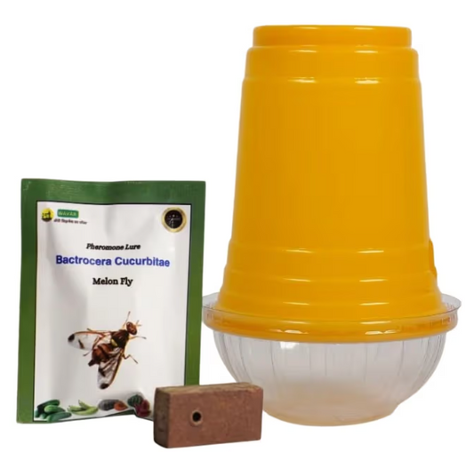 Wavar Fruit Fly Trap with Cucurbitae Lure