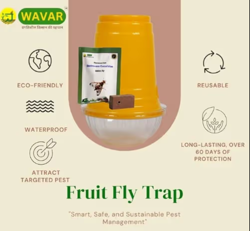 Wavar Fruit Fly Trap with Cucurbitae Lure