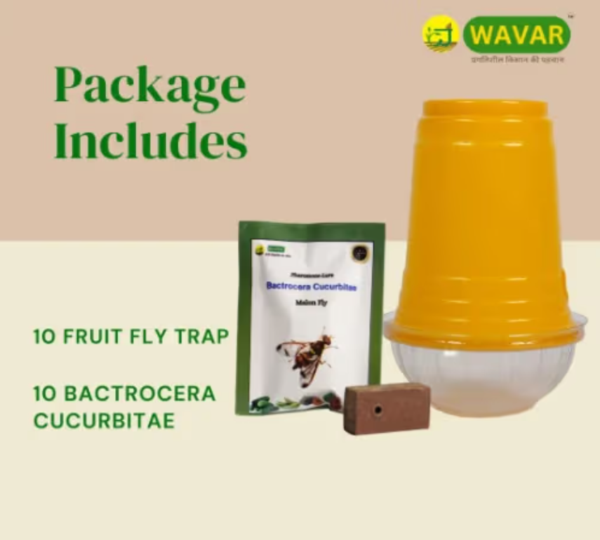 Wavar Fruit Fly Trap with Cucurbitae Lure