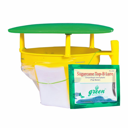 Green Revolution Funnel Trap With Sugarcane Top-B Lure