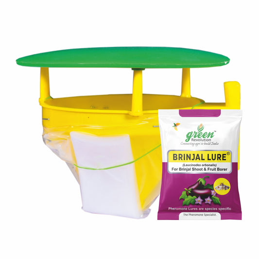 Green Revolution Combo Pack of Funnel Pheromone Trap + Brinjal Pheromone Lure (for Brinjal Fruit & Shoot Borer)
