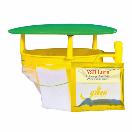 Green Revolution Combo Pack of Funnel Pheromone Trap + Yellow steam Borer Pheromone Lure