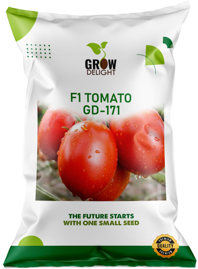 Tomato F1 GD-171