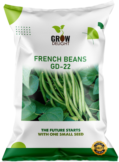 Grow Delight French Beans GD-22