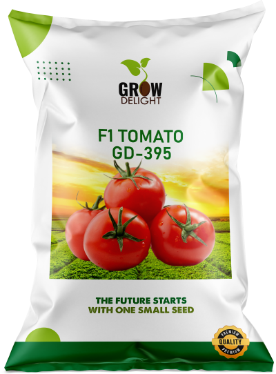 Tomato F1 GD-395