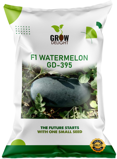 Grow Delight F1 Watermelon GD-395