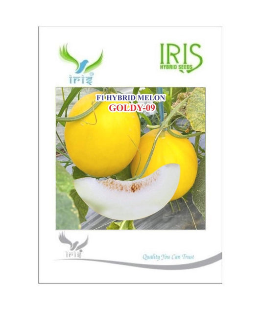 Muskmelon / Kharbooja F1 Iris Goldy-09