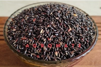 Fodder Gopi Ghas Seed