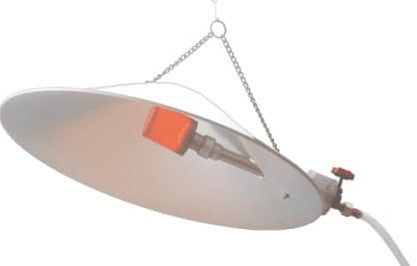 V-Arch Gas Brooder