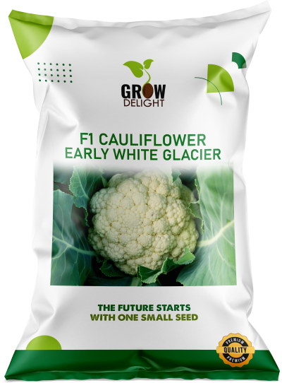 Cauliflower F1 Early White Glacier