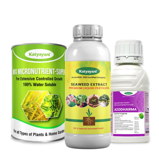 Katyayani Gram Protection + Growth Combo