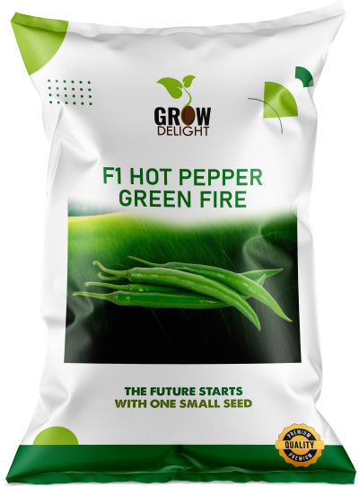 Chilli / Hot Pepper F1 Green Fire
