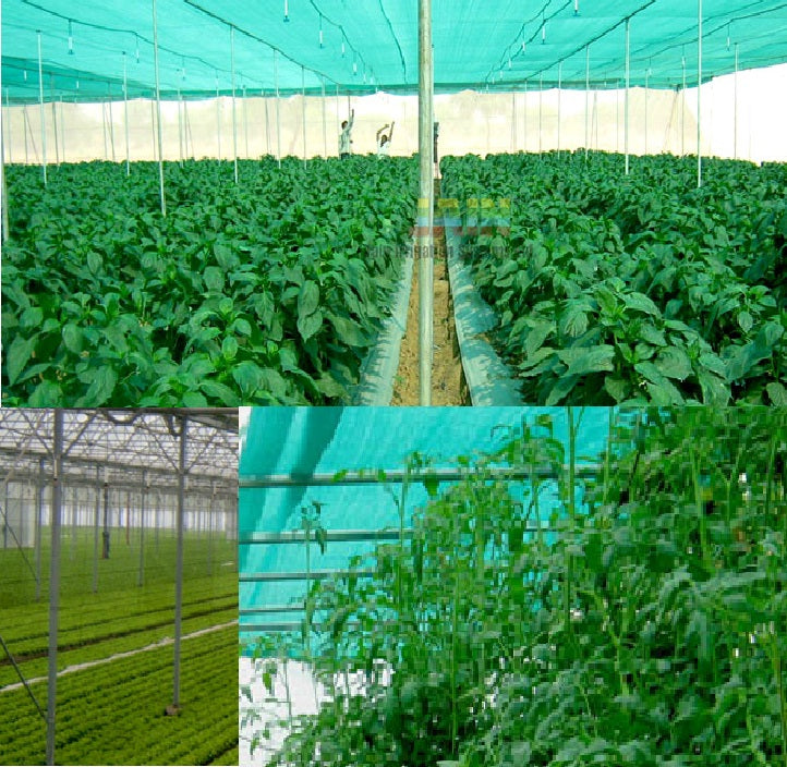 Jain Green House
