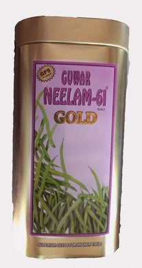 Clusterbean / Guar Neelam-61 Gold