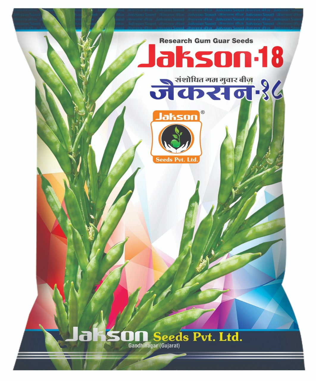 Clusterbean / Guar Research Jakson-18 Seeds
