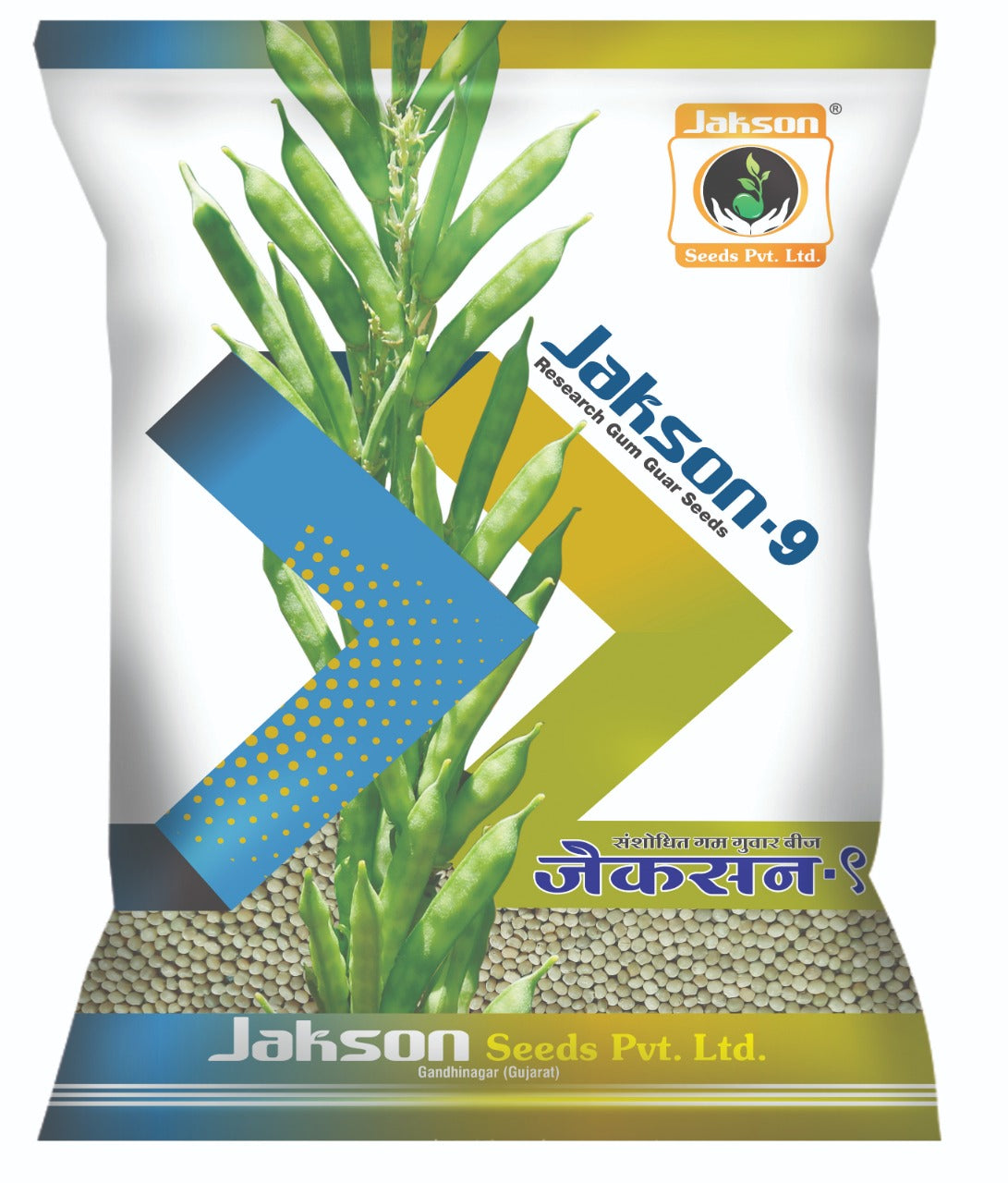 Clusterbean / Guar Jakson 9