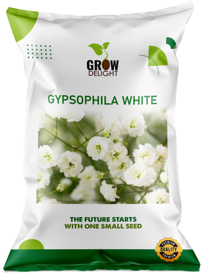 Grow Delight Imported Gypsophila White - 600 seeds