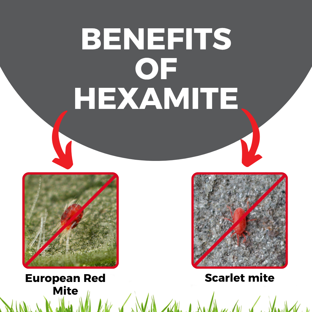 Katyayani Hexamite - Hexythiazox 5.45% EC | Insecticide