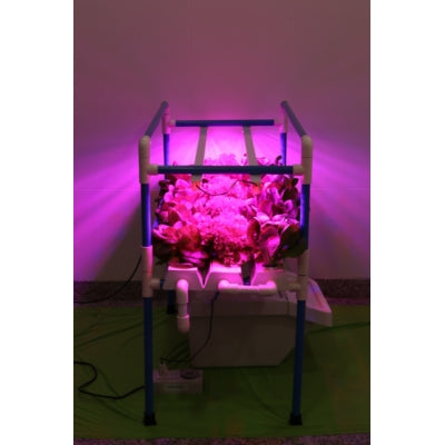 Higro Vertical NFT Planter