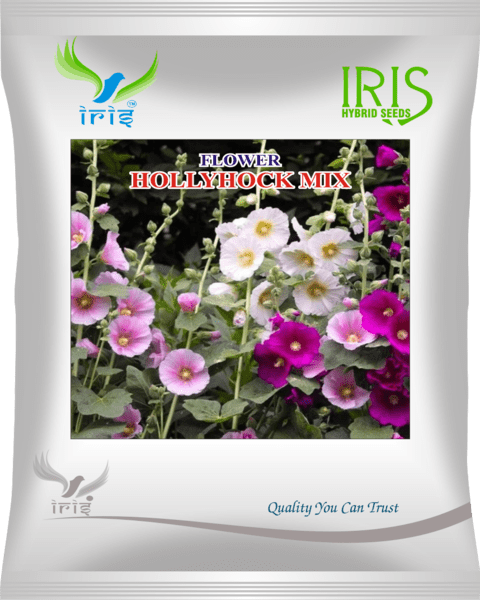 Iris Imported Hollyhock Mix