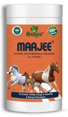 Maajee Nutritious Supplement Powder for Horse