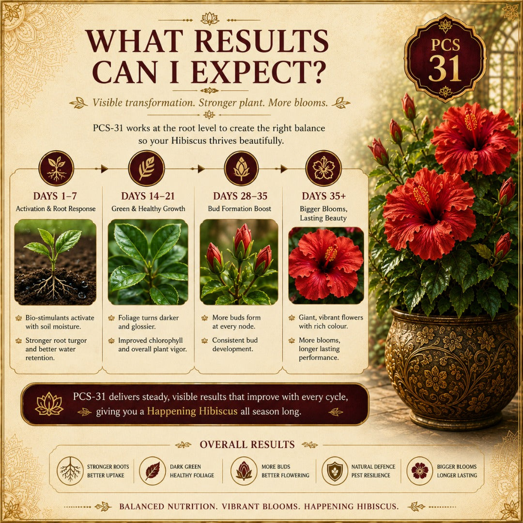 Ecotika Happening Hibiscus - Plant Food