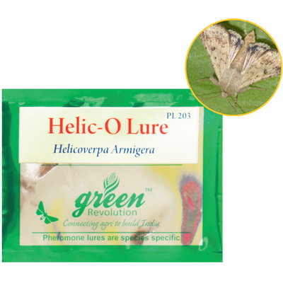 Combo Pack of Funnel Pheromone Trap + Helic - o Pheromone Lure