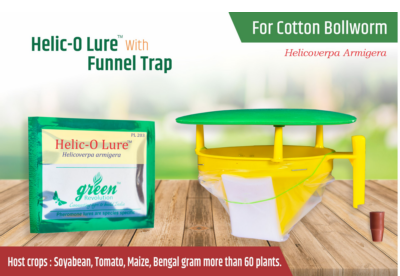Combo Pack of Funnel Pheromone Trap + Helic - o Pheromone Lure