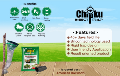 Chipku Pheromone Funnel Trap with Helicoverpa Lure Pack of 10