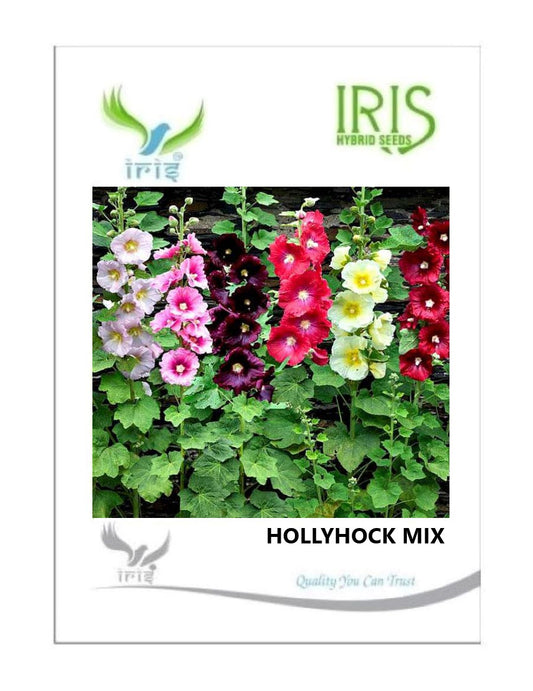Iris Imported Hollyhock Mix
