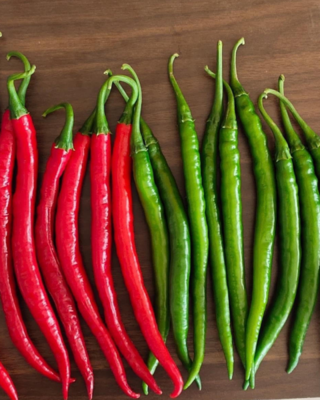Chilli / Hot Pepper F1 GD-75