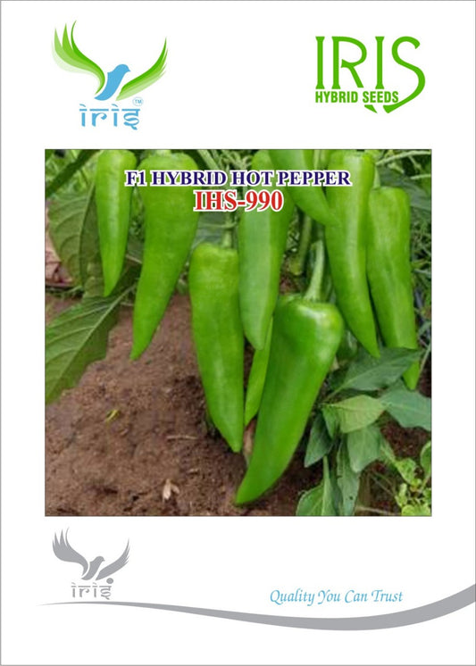 Chilli / Hot Pepper F1 Iris IHS-990 10 grams