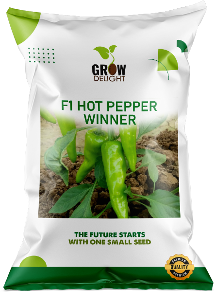 Chilli / Hot Pepper F1 Winner