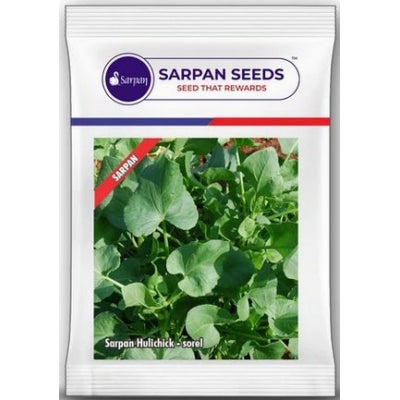 Hulichick Sarpan Sorel