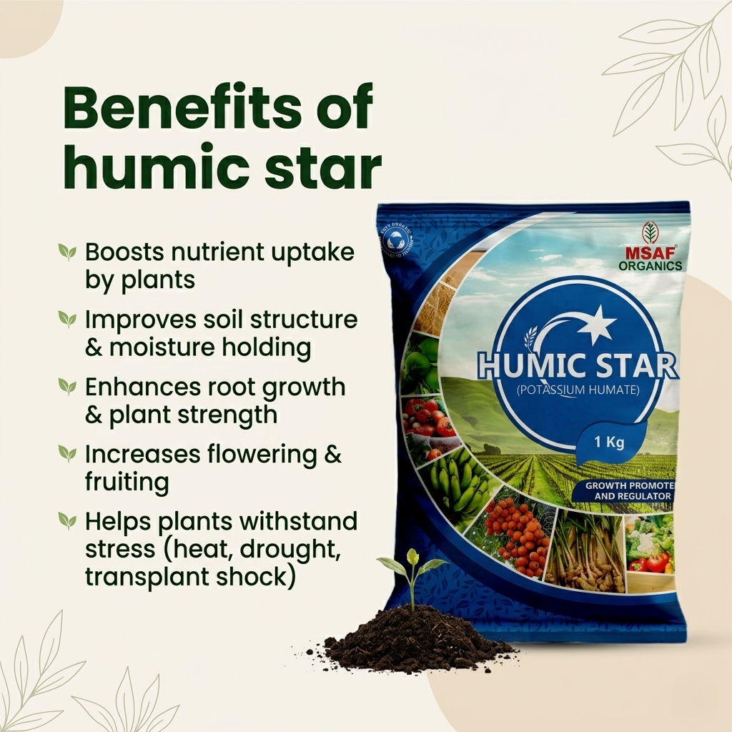 MSAF Humic Star (Potassium Humate)