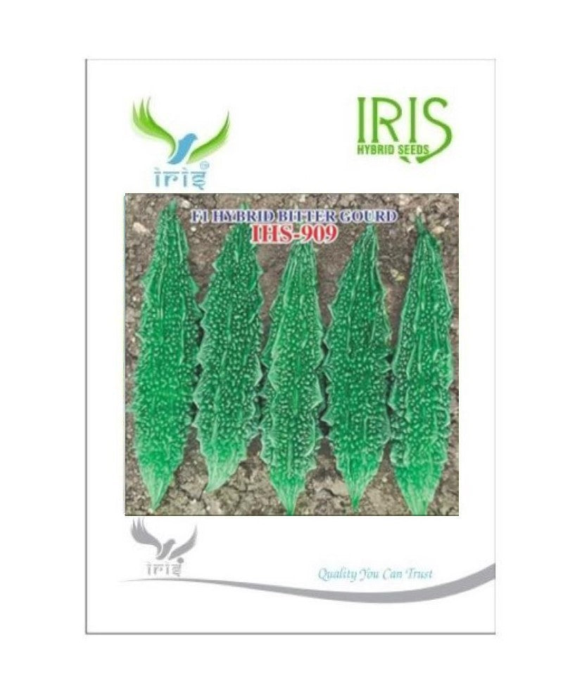 BitterGourd / Karela F1 Iris IHS-909 20 grams