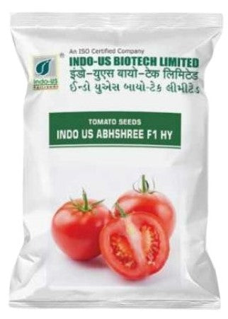 Tomato F1 Indo US Abhishree