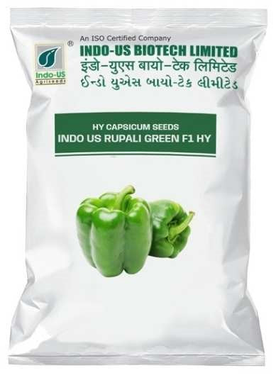 Capsicum F1 Indo Us Rupali Green