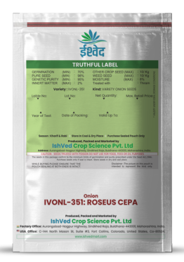 Onion IVONL-351