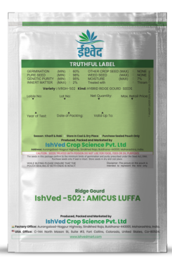 RidgeGourd / Turai IVRGH-502 50 grams