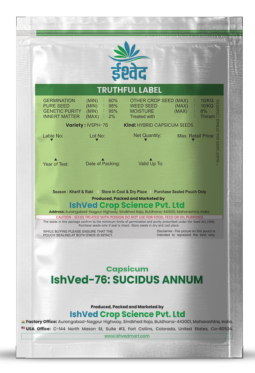 Capsicum IVSPH-76 10 grams